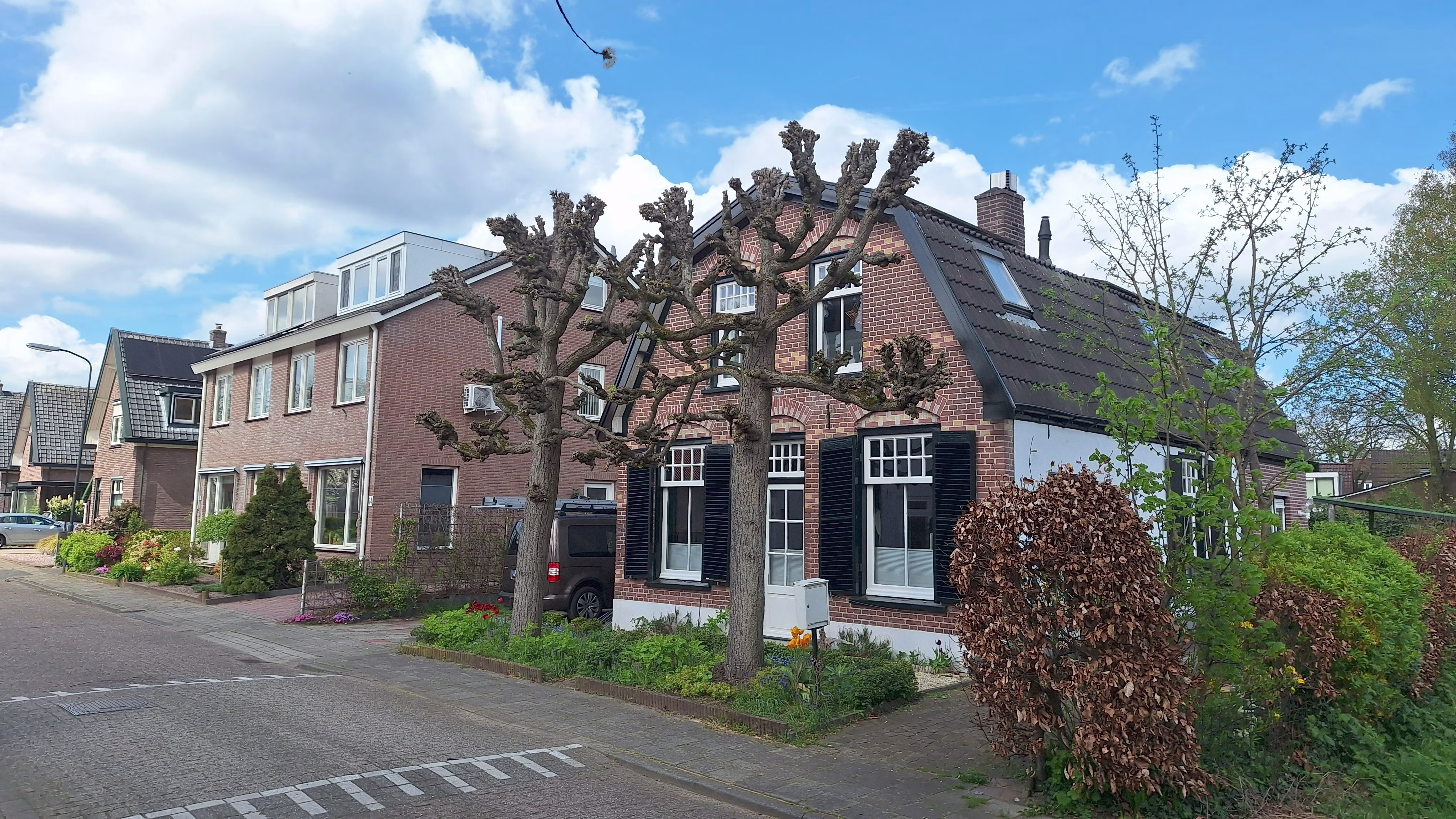 Robbie Driessen Timmerwerken
